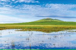 新阅读草场上的一年又一年